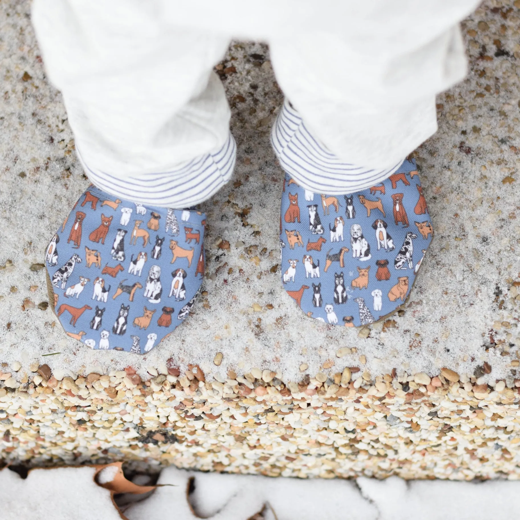 Doggie Shoes