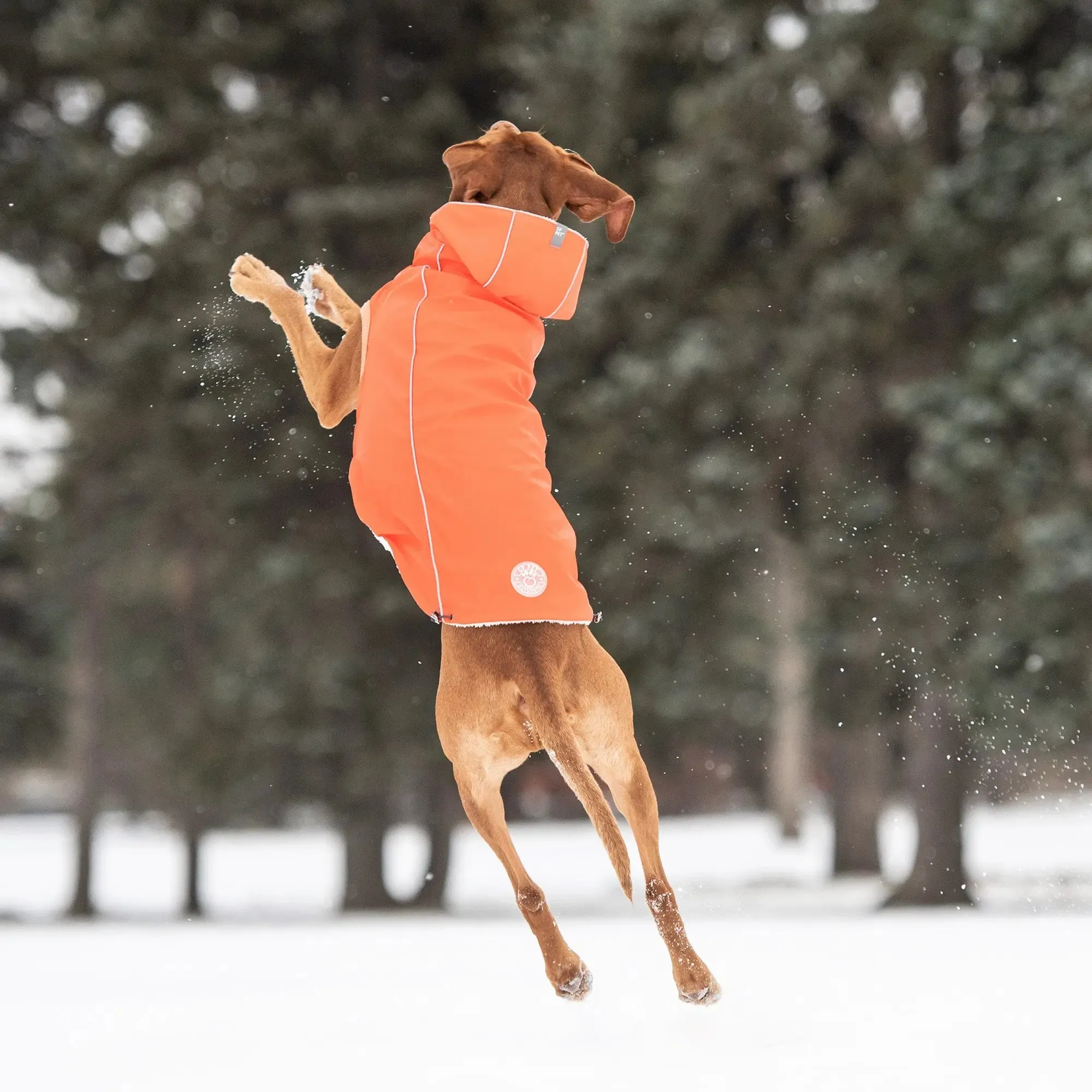 Insulated Dog Raincoat | Orange