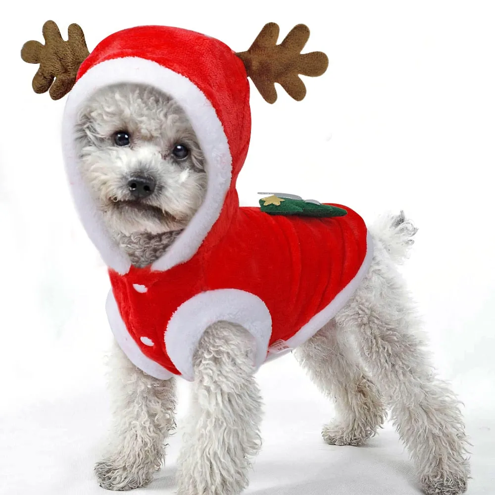 Santa Costume