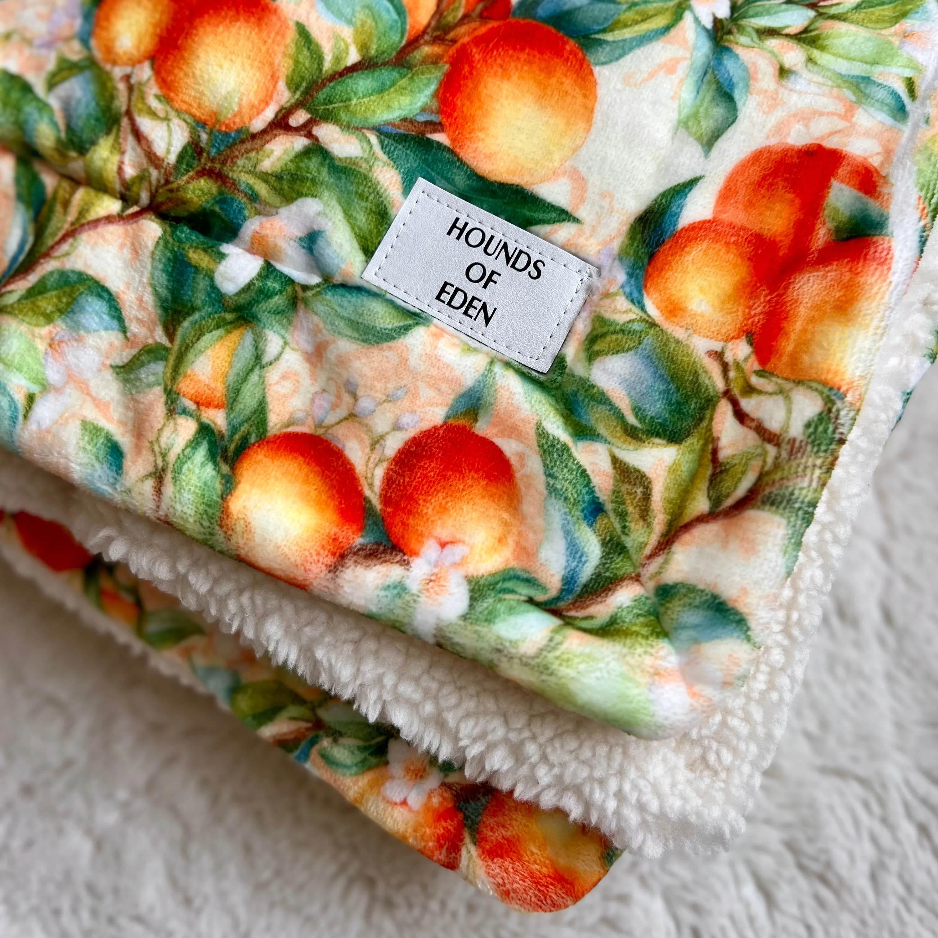 Simply the Zest - Oranges Dog Snuggle Blanket